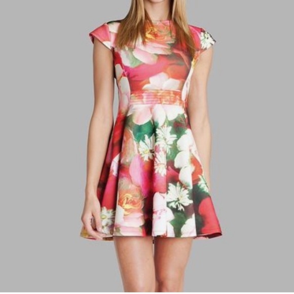 Ted Baker London Dresses & Skirts - Ted Baker as seen on TV Rozey Floral Fit and Flare Skater Dress size Small 6/8